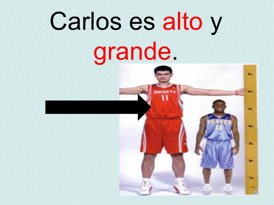 Carlos es alto y grande.