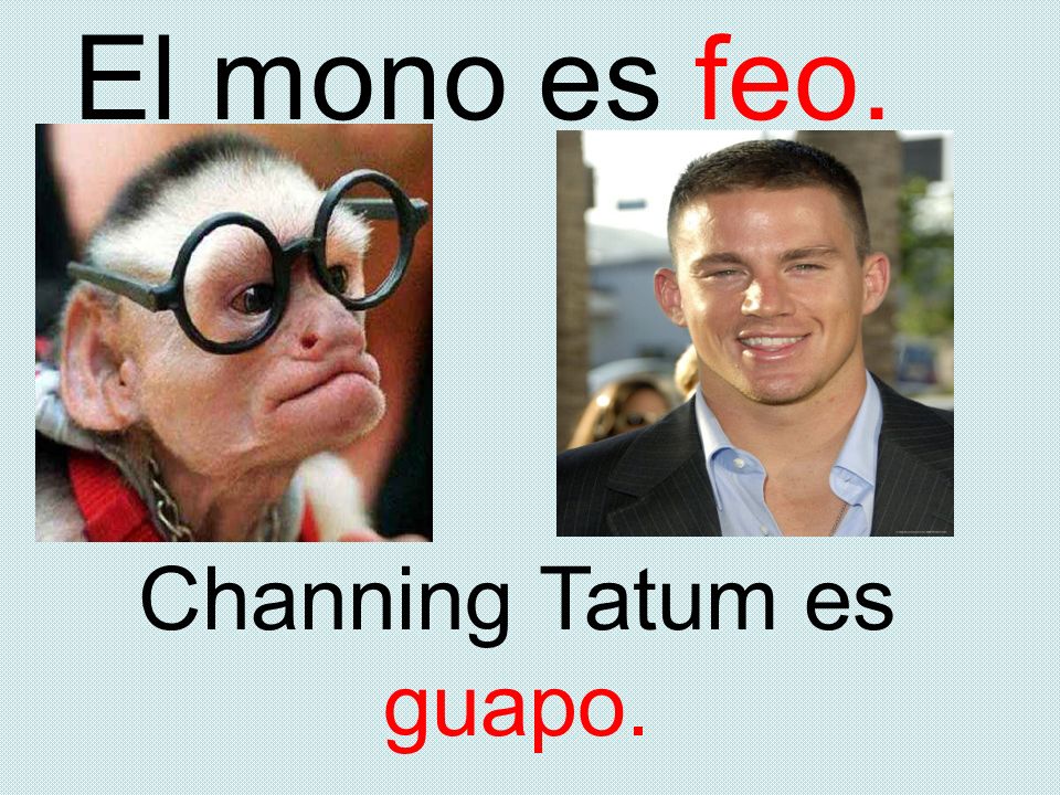 Channing Tatum es guapo.