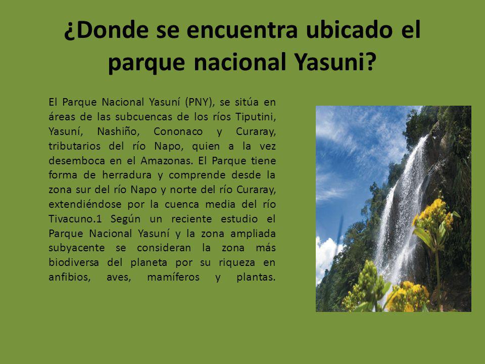 Parque Nacional Yasuni Ppt Descargar