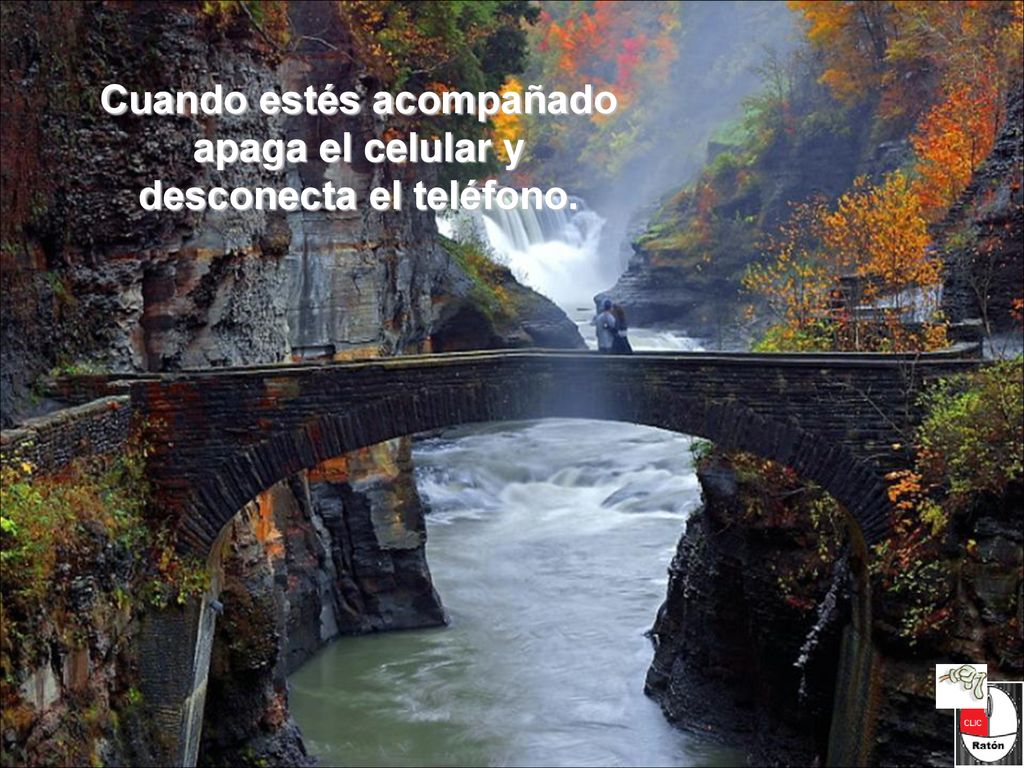 Cuando estés acompañado apaga el celular y desconecta el teléfono.