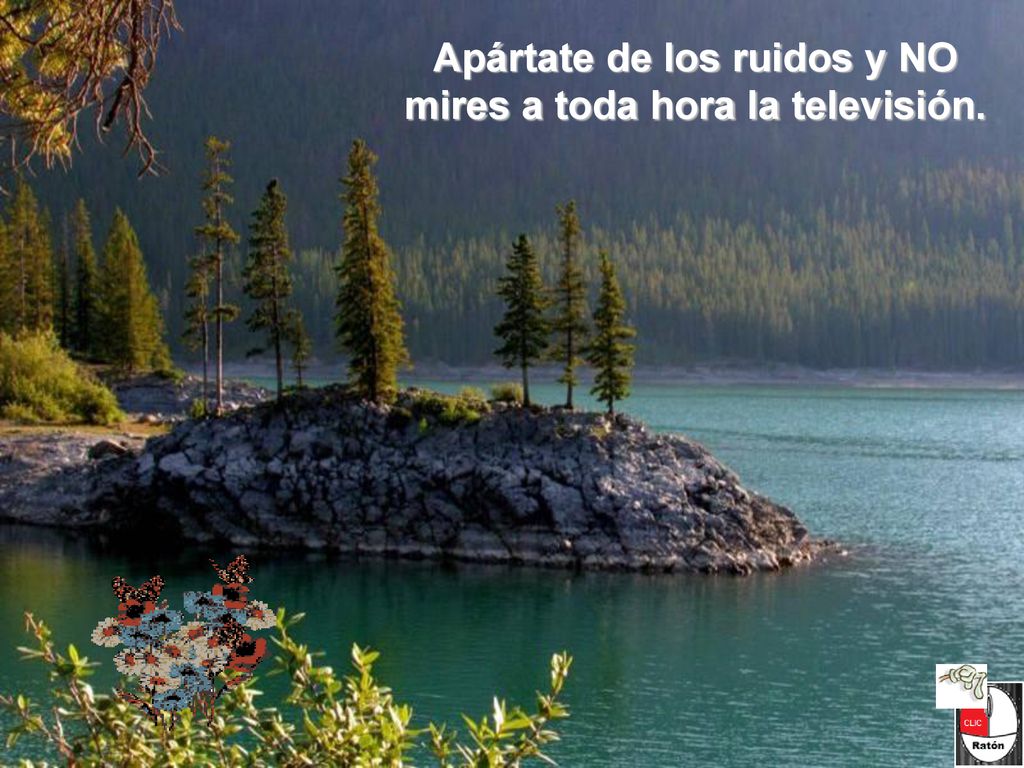 Apártate de los ruidos y NO mires a toda hora la televisión.