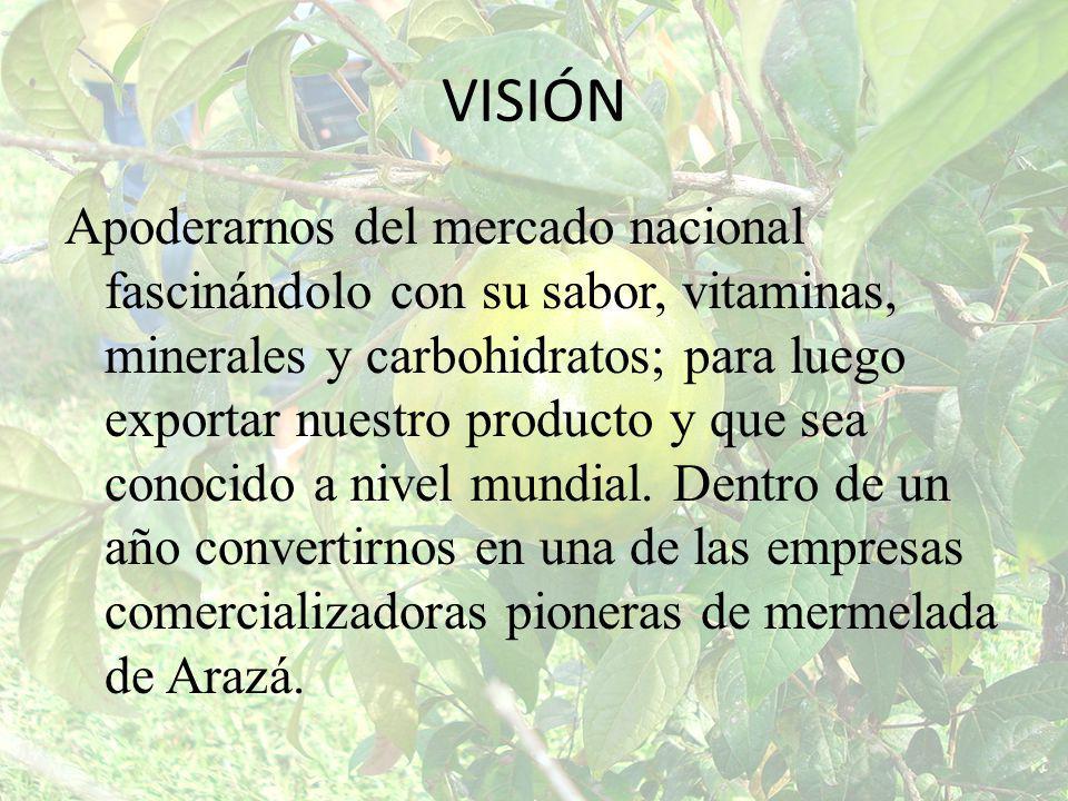 VISIÓN