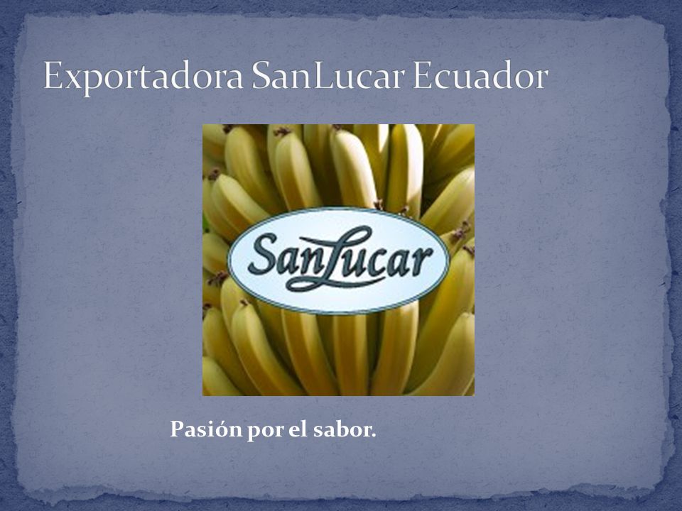 Exportadora SanLucar Ecuador