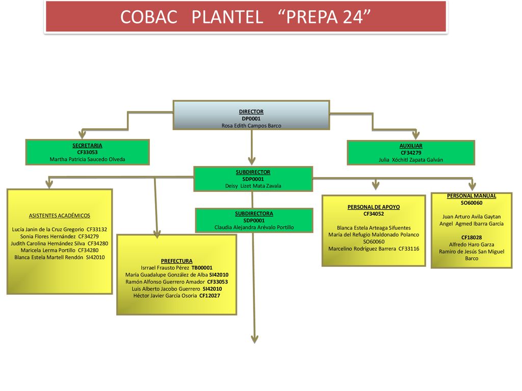 COBAC PLANTEL PREPA 24 DIRECTOR DP0001 Rosa Edith Campos Barco
