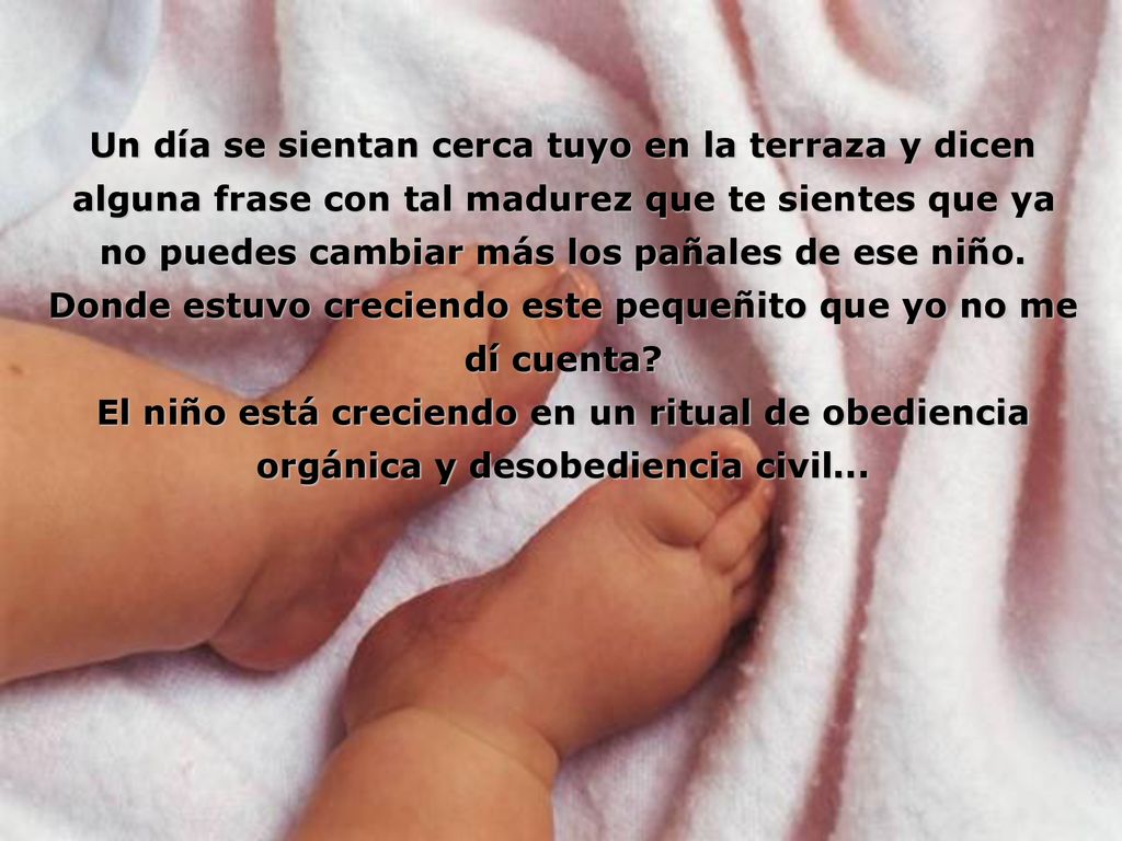 Donde estuvo creciendo este pequeñito que yo no me dí cuenta