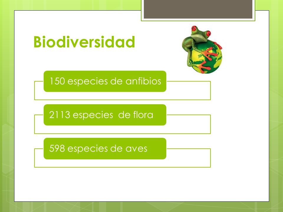 Biodiversidad 150 especies de anfibios 2113 especies de flora