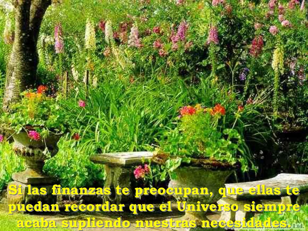 Si las finanzas te preocupan, que ellas te puedan recordar que el Universo siempre acaba supliendo nuestras necesidades.