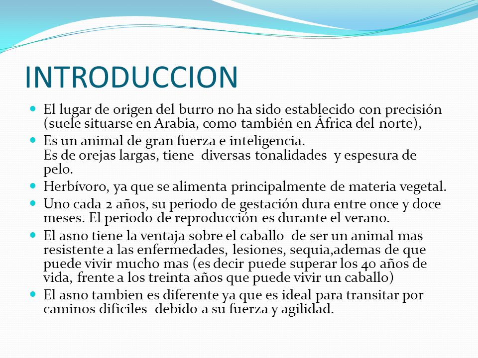 INTRODUCCION El lugar de origen del burro no ha sido establecido con precisión (suele situarse en Arabia, como también en África del norte),
