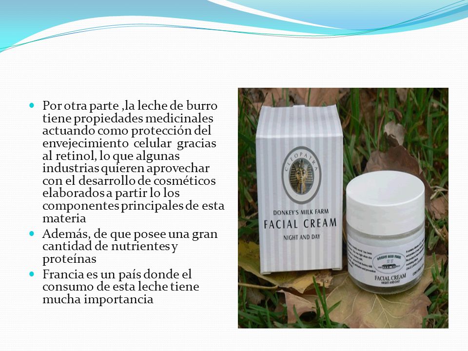 Por otra parte ,la leche de burro tiene propiedades medicinales actuando como protección del envejecimiento celular gracias al retinol, lo que algunas industrias quieren aprovechar con el desarrollo de cosméticos elaborados a partir lo los componentes principales de esta materia