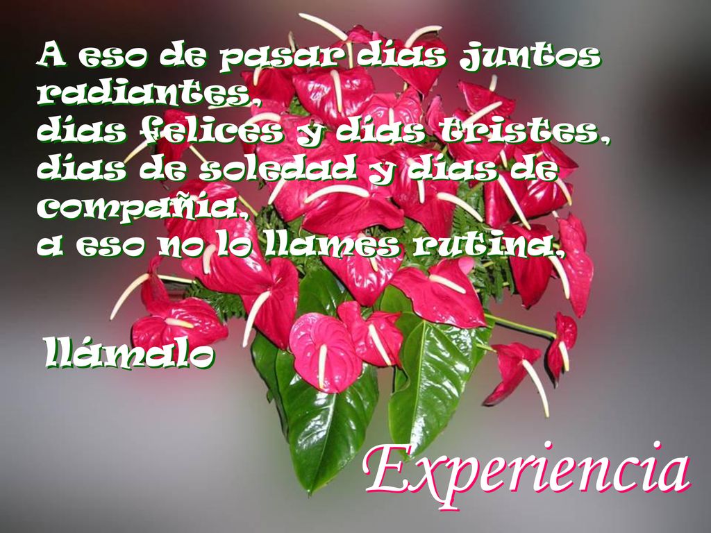 A eso de pasar días juntos radiantes, días felices y días tristes, días de soledad y días de compañía, a eso no lo llames rutina,