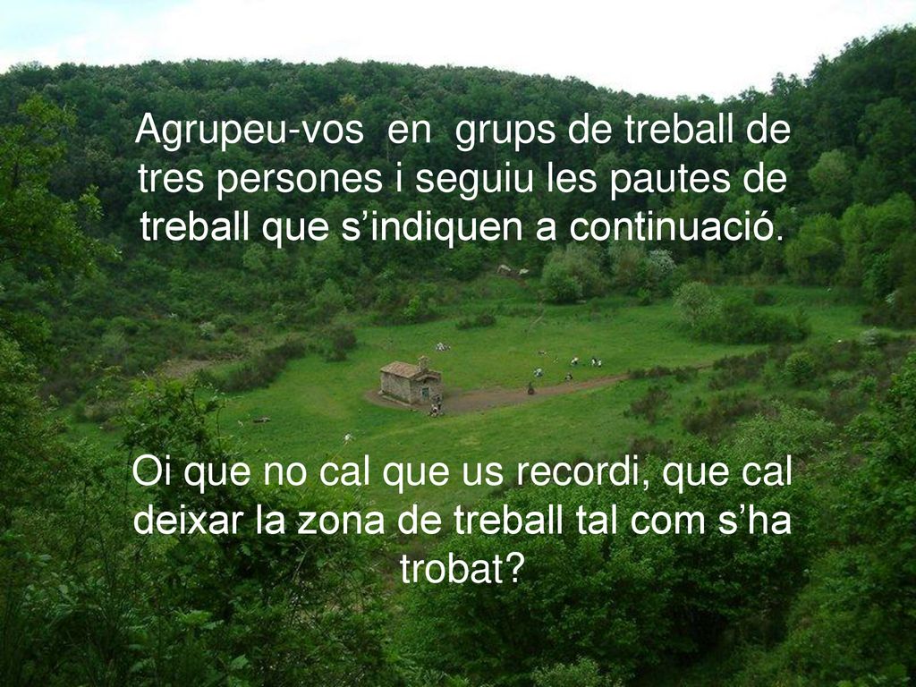 Agrupeu-vos en grups de treball de tres persones i seguiu les pautes de treball que s’indiquen a continuació.