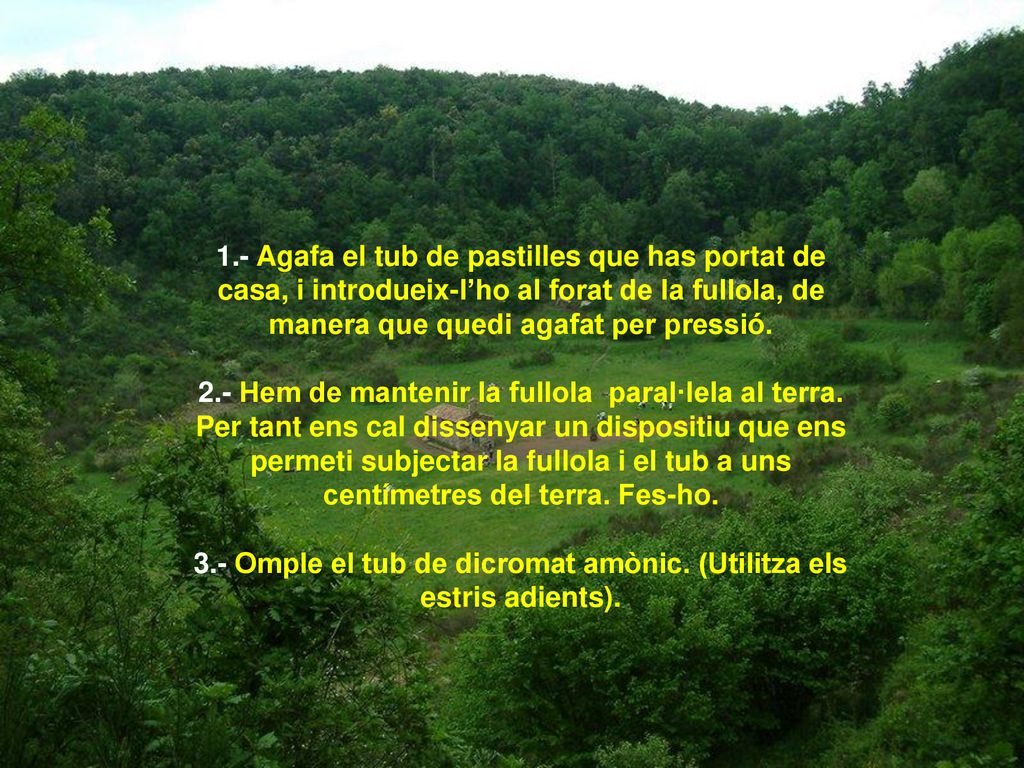 3.- Omple el tub de dicromat amònic. (Utilitza els estris adients).