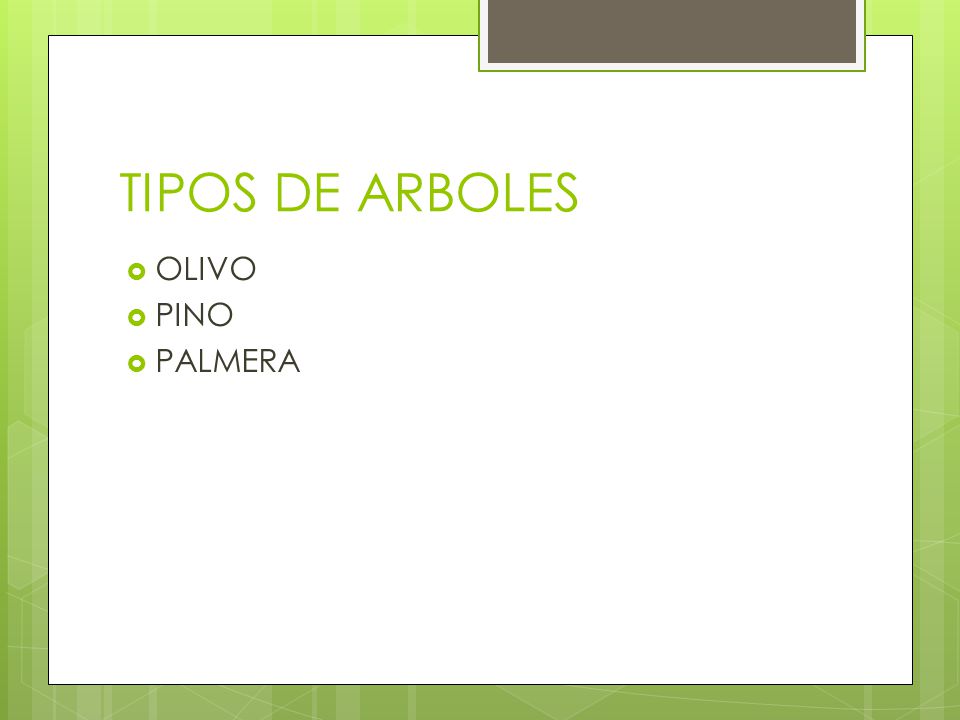 TIPOS DE ARBOLES OLIVO PINO PALMERA