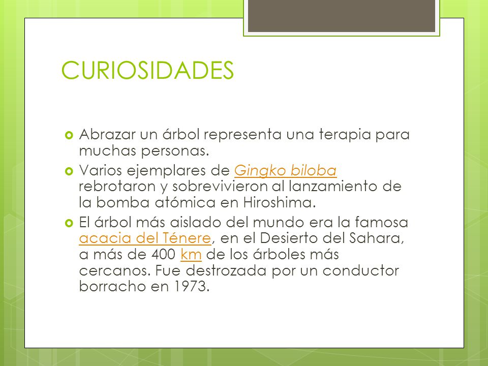 CURIOSIDADES Abrazar un árbol representa una terapia para muchas personas.