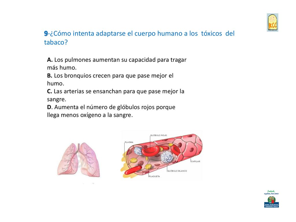 9-¿Cómo intenta adaptarse el cuerpo humano a los tóxicos del tabaco