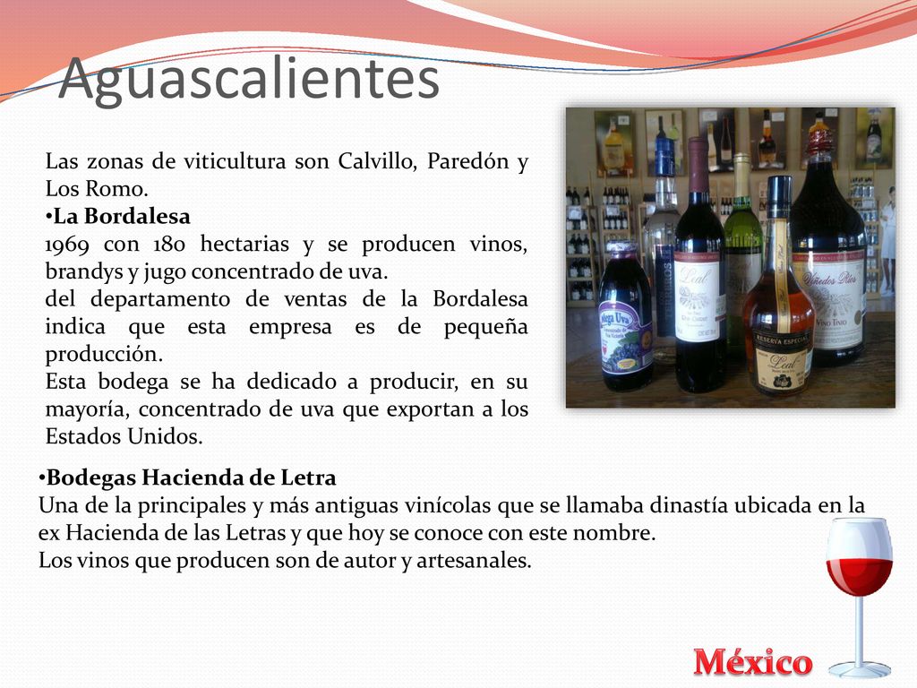 Aguascalientes Las zonas de viticultura son Calvillo, Paredón y Los Romo. La Bordalesa.