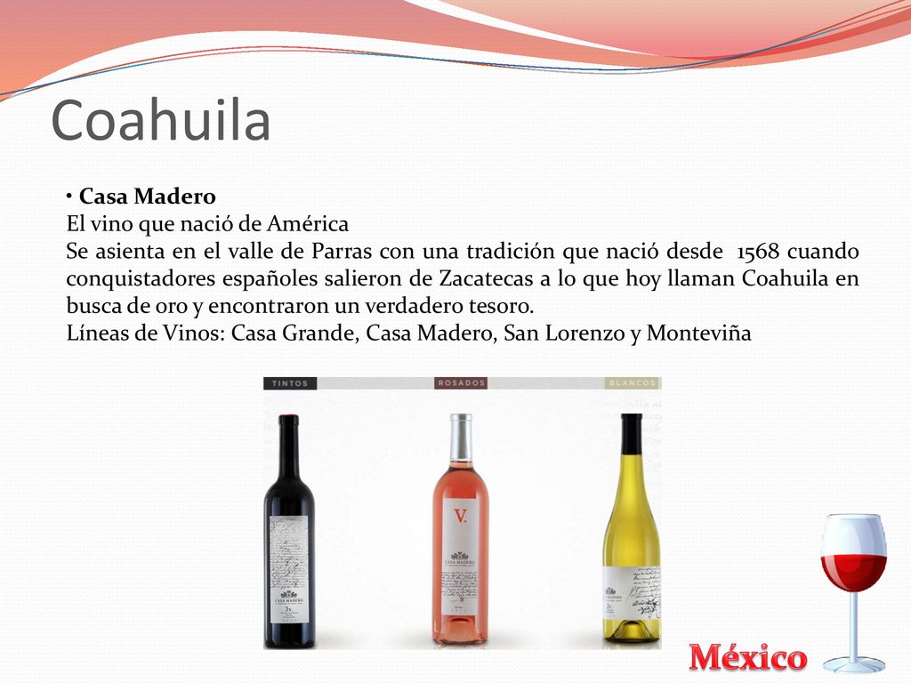 Coahuila • Casa Madero El vino que nació de América
