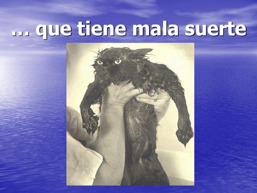 … que tiene mala suerte Moi j’aime pas les jamais contents…