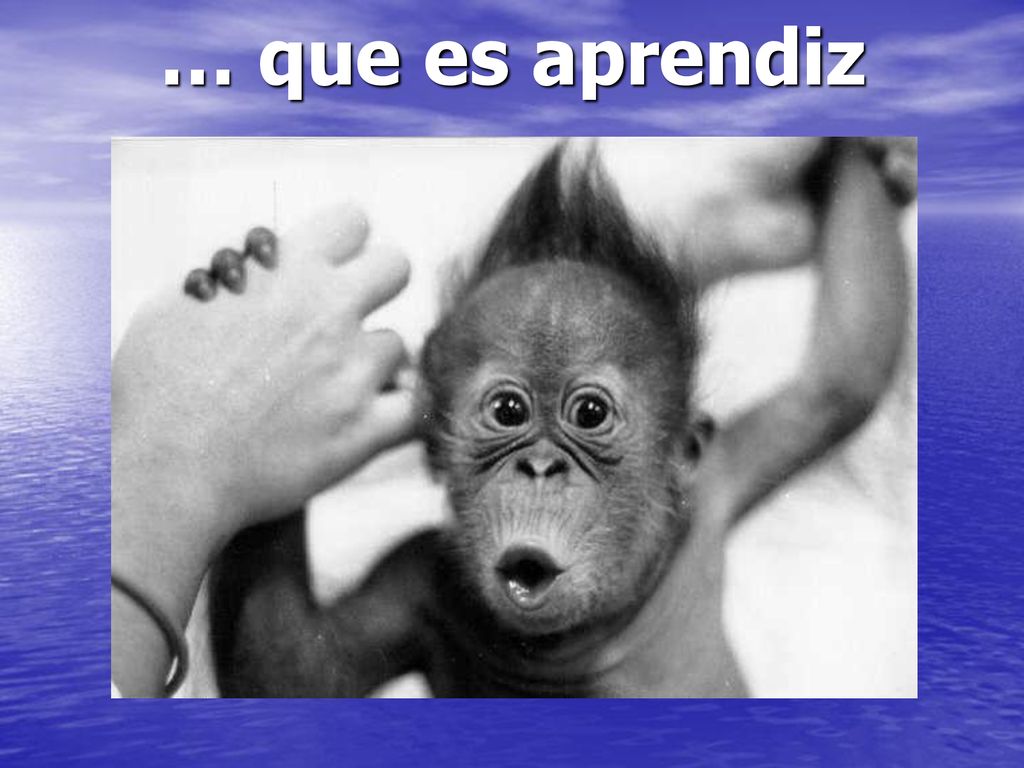 … que es aprendiz Vas-y Louis, tu tiens le bon bout.
