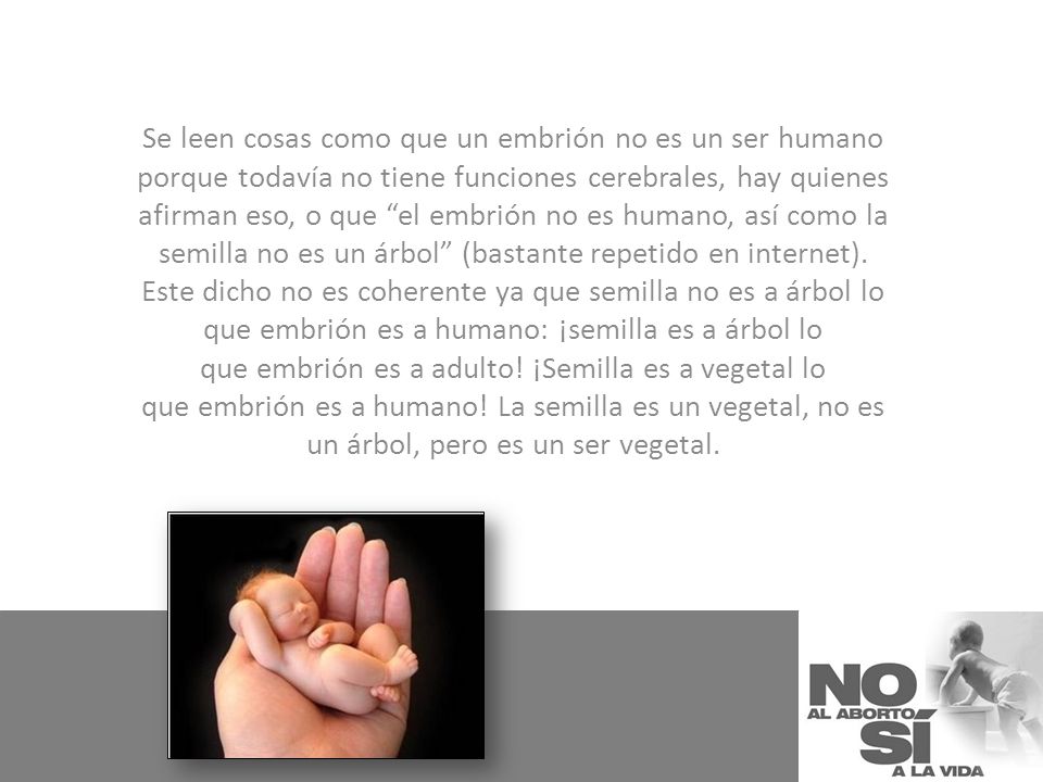 Se leen cosas como que un embrión no es un ser humano porque todavía no tiene funciones cerebrales, hay quienes afirman eso, o que el embrión no es humano, así como la semilla no es un árbol (bastante repetido en internet).