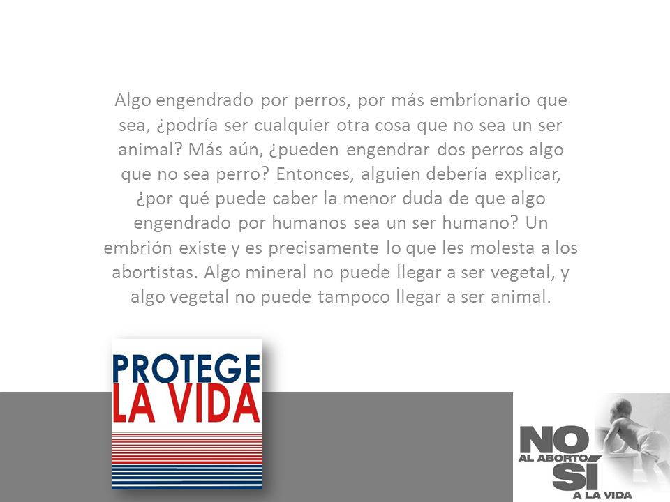 Algo engendrado por perros, por más embrionario que sea, ¿podría ser cualquier otra cosa que no sea un ser animal.