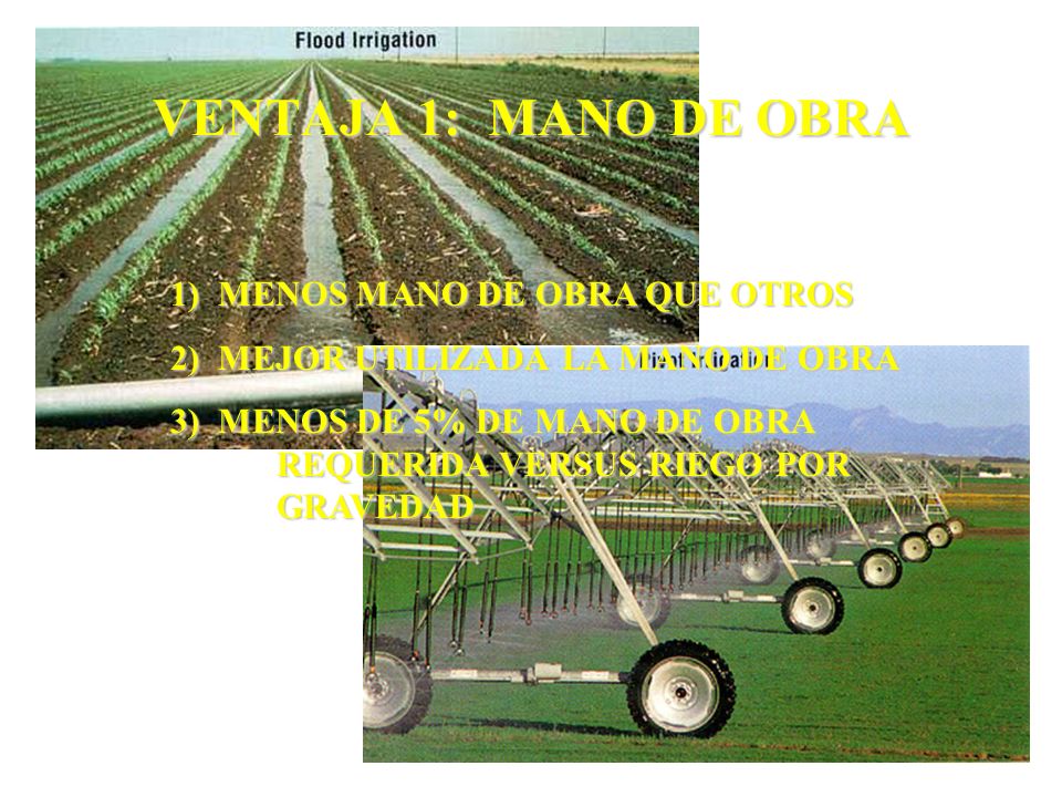 VENTAJA 1: MANO DE OBRA 1) MENOS MANO DE OBRA QUE OTROS