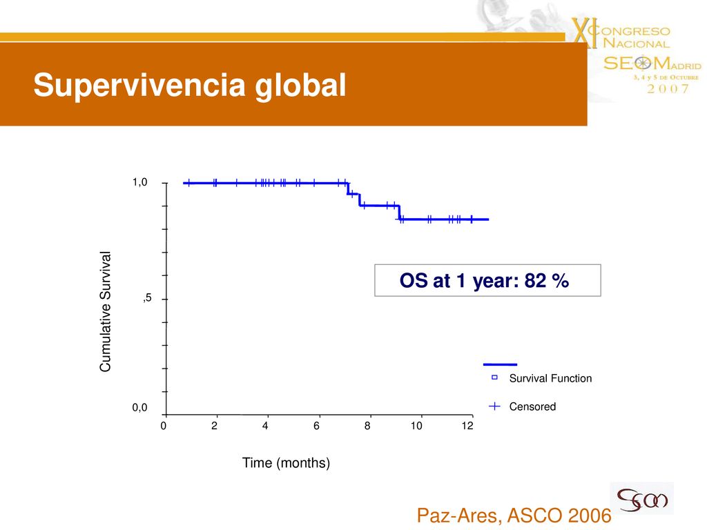 Supervivencia global OS at 1 year: 82 % Paz-Ares, ASCO 2006