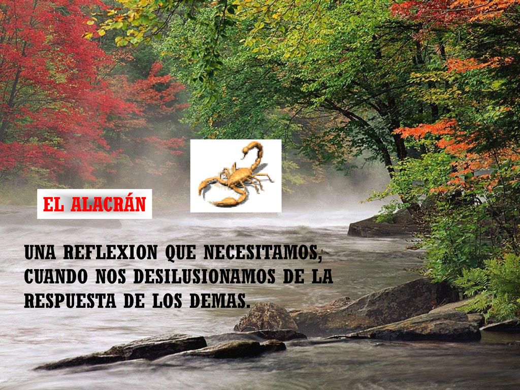 EL ALACRÁN UNA REFLEXION QUE NECESITAMOS, CUANDO NOS DESILUSIONAMOS DE LA RESPUESTA DE LOS DEMAS.
