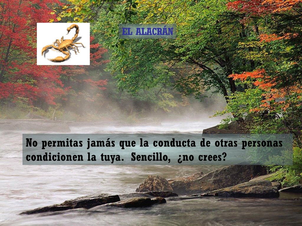 EL ALACRÁN No permitas jamás que la conducta de otras personas condicionen la tuya.