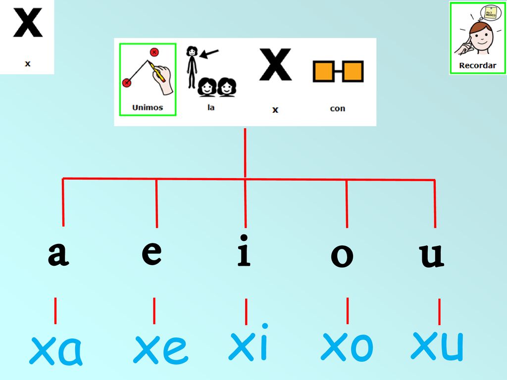a e o u i xi xo xu xa xe