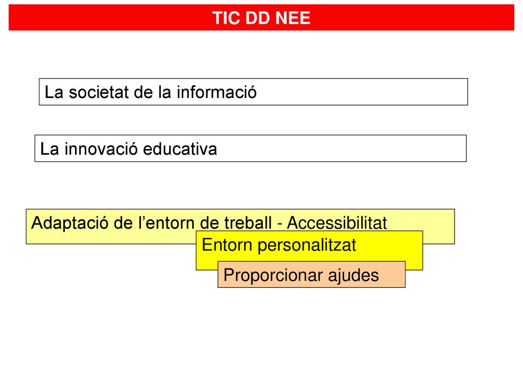 TIC DD NEE La societat de la informació. La innovació educativa. Adaptació de l’entorn de treball - Accessibilitat.
