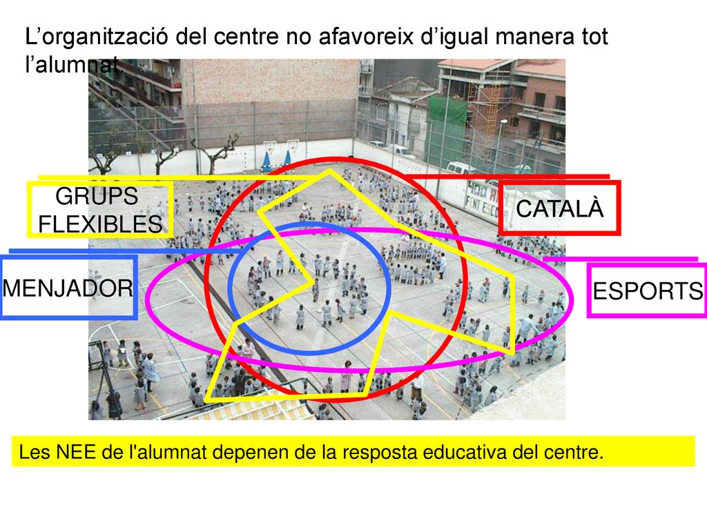 L’organització del centre no afavoreix d’igual manera tot l’alumnat.