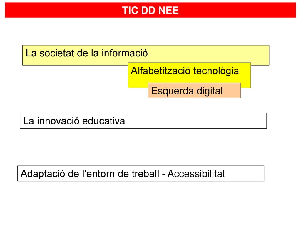 TIC DD NEE La societat de la informació. Alfabetització tecnològia. Esquerda digital. La innovació educativa.