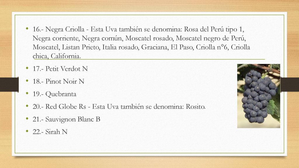 16.- Negra Criolla - Esta Uva también se denomina: Rosa del Perú tipo 1, Negra corriente, Negra común, Moscatel rosado, Moscatel negro de Perú, Moscatel, Listan Prieto, Italia rosado, Graciana, El Paso, Criolla n°6, Criolla chica, California.