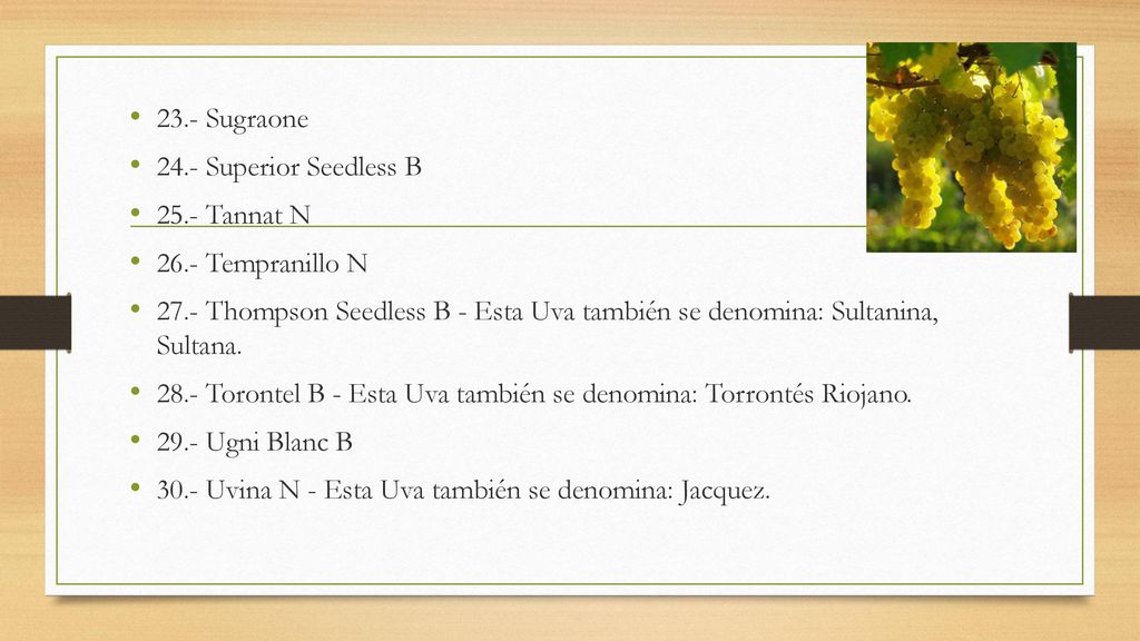 23.- Sugraone 24.- Superior Seedless B Tannat N Tempranillo N.