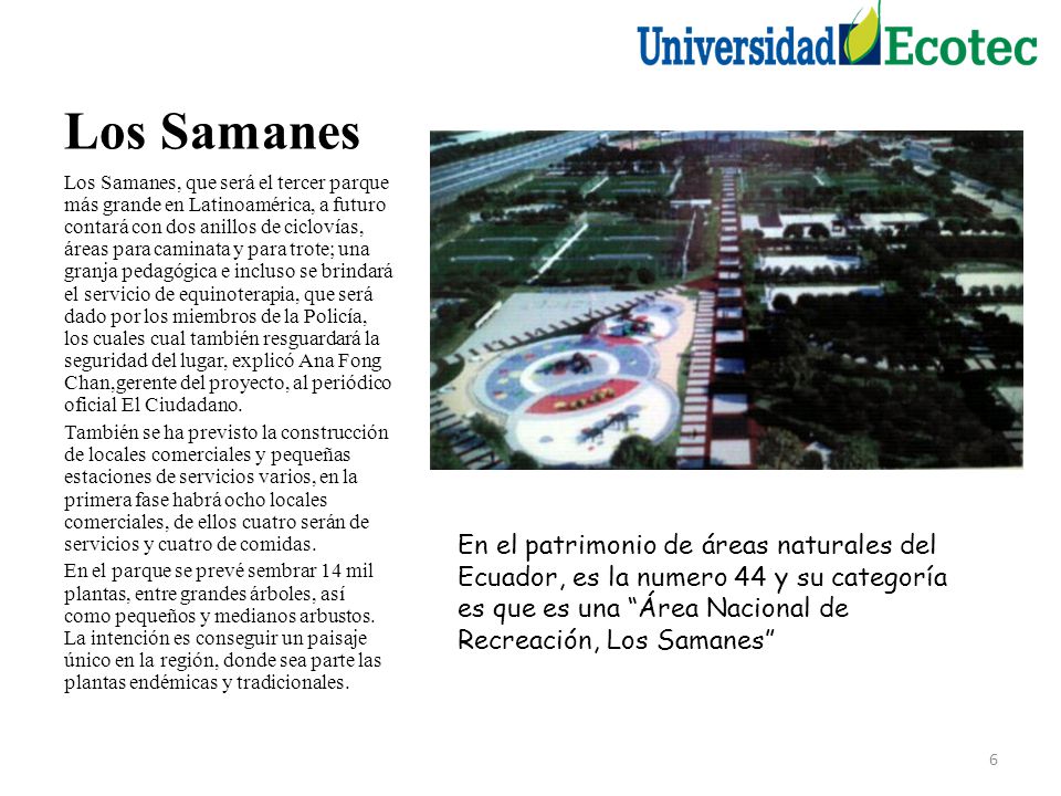 Los Samanes