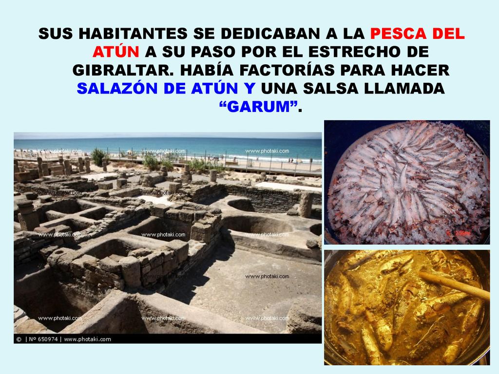 SUS HABITANTES SE DEDICABAN A LA PESCA DEL ATÚN A SU PASO POR EL ESTRECHO DE GIBRALTAR. HABÍA FACTORÍAS PARA HACER SALAZÓN DE ATÚN Y UNA SALSA LLAMADA GARUM .
