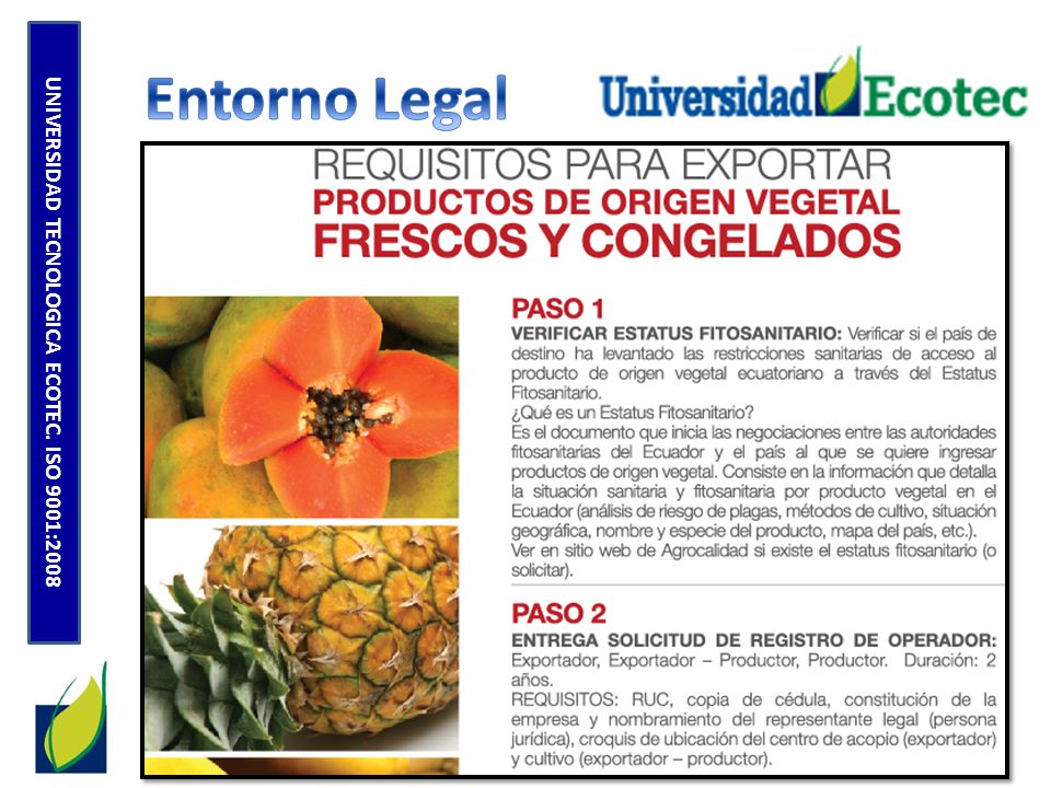 UNIVERSIDAD TECNOLOGICA ECOTEC. ISO 9001:2008