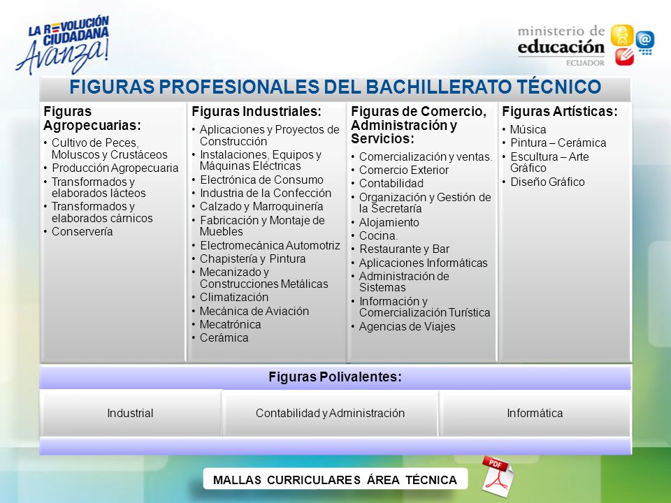 FIGURAS PROFESIONALES DEL BACHILLERATO TÉCNICO Figuras Polivalentes:
