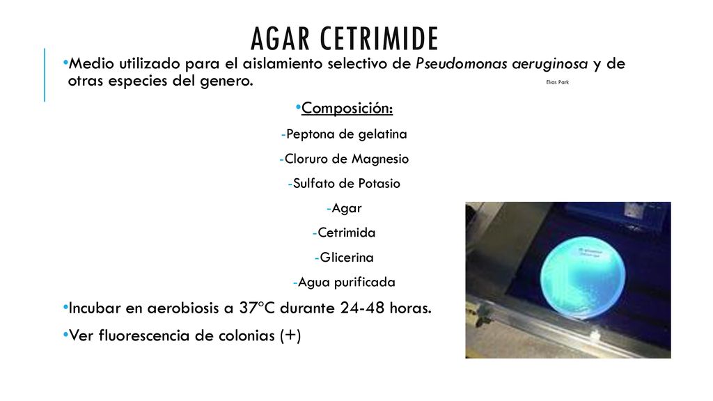 Agar cetrimide Medio utilizado para el aislamiento selectivo de Pseudomonas aeruginosa y de otras especies del genero.