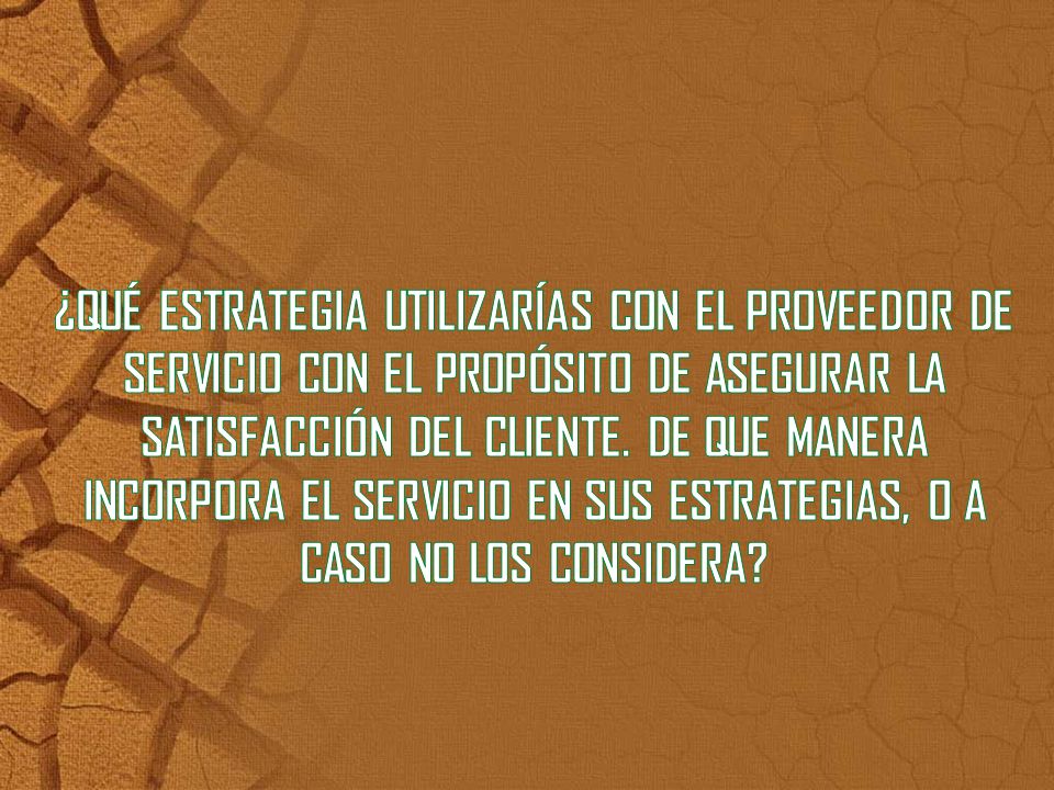 ¿QUÉ ESTRATEGIA UTILIZARÍAS CON EL PROVEEDOR DE SERVICIO CON EL PROPÓSITO DE ASEGURAR LA SATISFACCIÓN DEL CLIENTE.