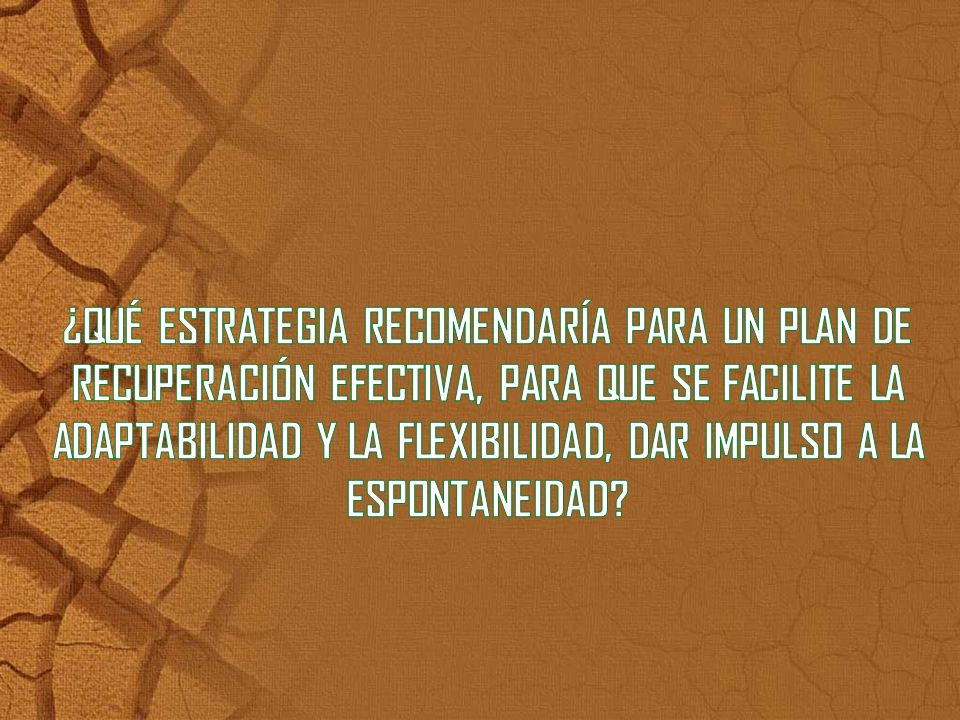 ¿QUÉ ESTRATEGIA RECOMENDARÍA PARA UN PLAN DE RECUPERACIÓN EFECTIVA, PARA QUE SE FACILITE LA ADAPTABILIDAD Y LA FLEXIBILIDAD, DAR IMPULSO A LA ESPONTANEIDAD
