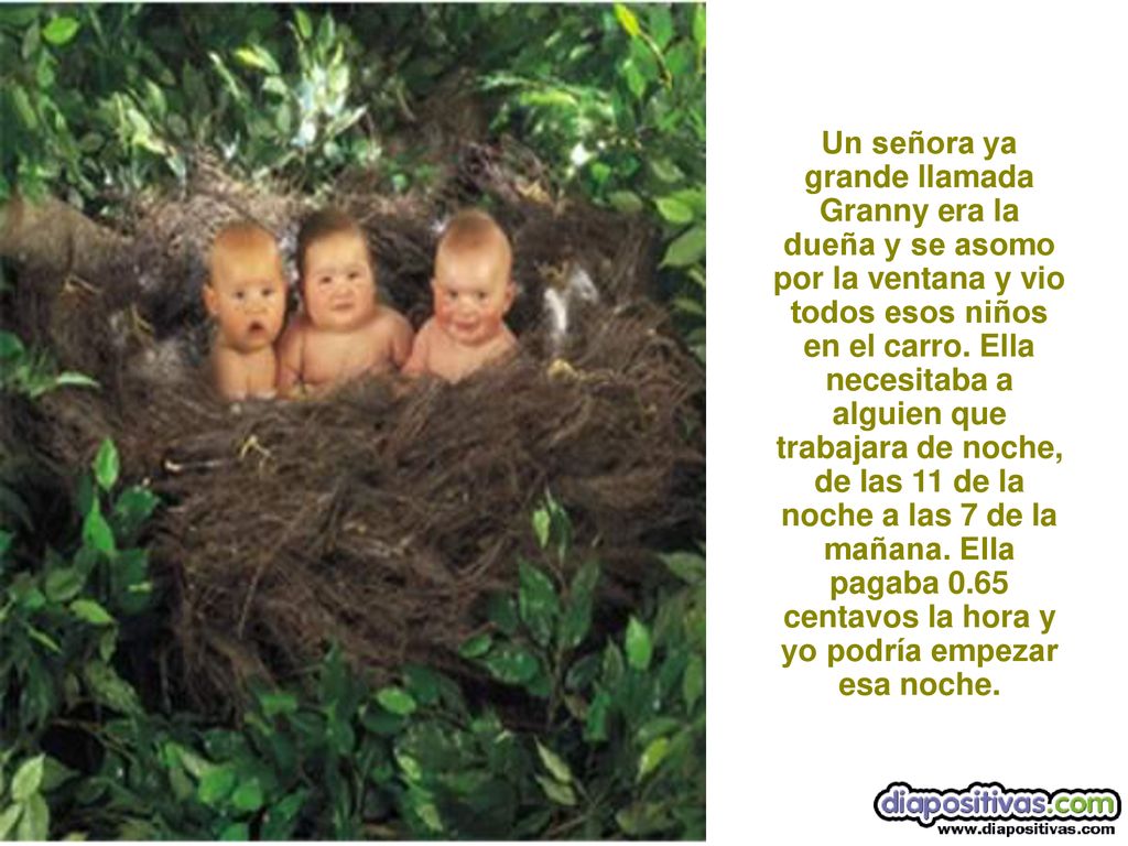 Un señora ya grande llamada Granny era la dueña y se asomo por la ventana y vio todos esos niños en el carro.