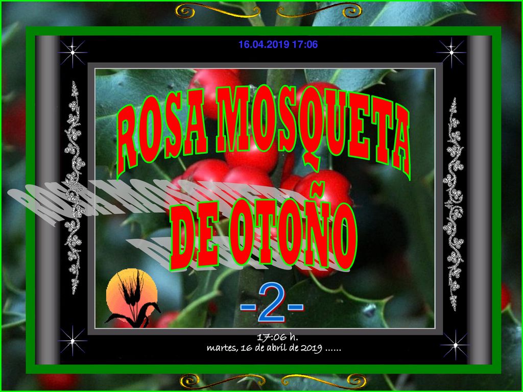 ROSA MOSQUETA DE OTOÑO -2- martes, 16 de abril de 2019 …… 17:06 h.