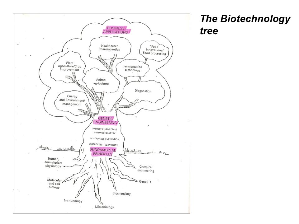 The Biotechnology tree