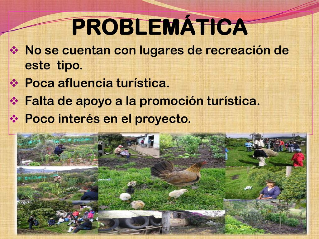 PROBLEMÁTICA No se cuentan con lugares de recreación de este tipo.