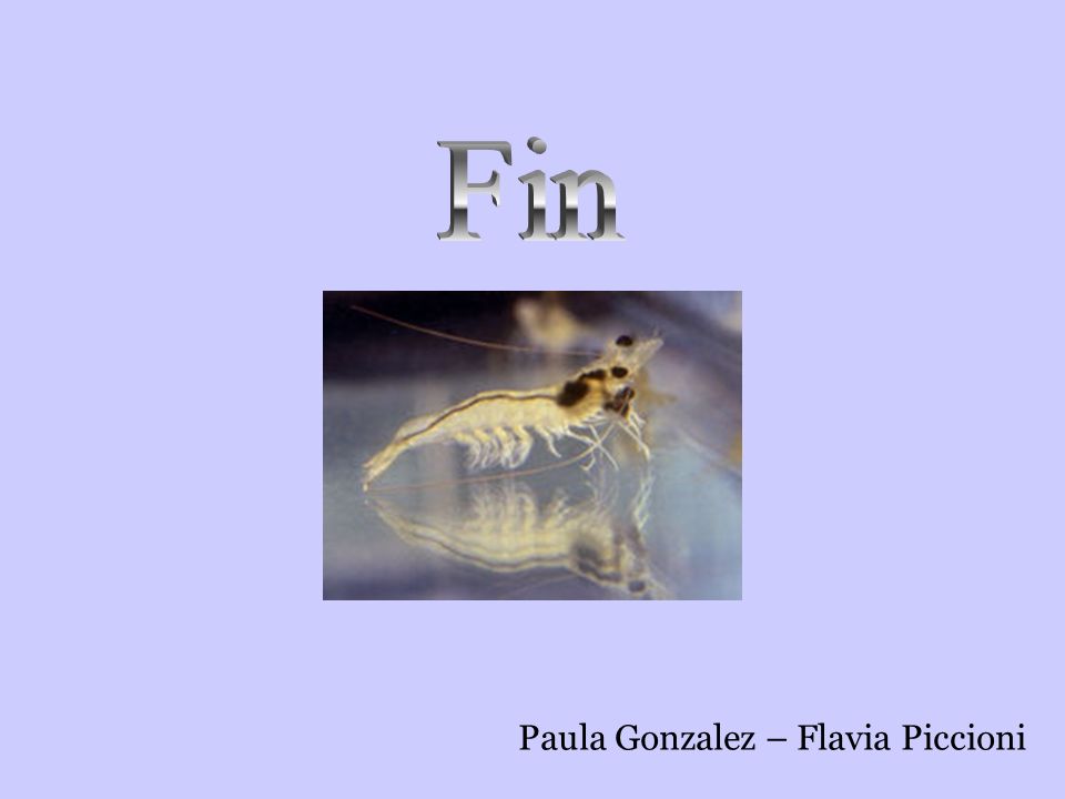 Fin Paula Gonzalez – Flavia Piccioni