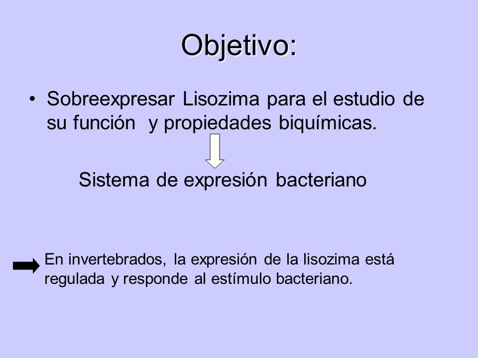 Objetivo: Sobreexpresar Lisozima para el estudio de su función y propiedades biquímicas. Sistema de expresión bacteriano.