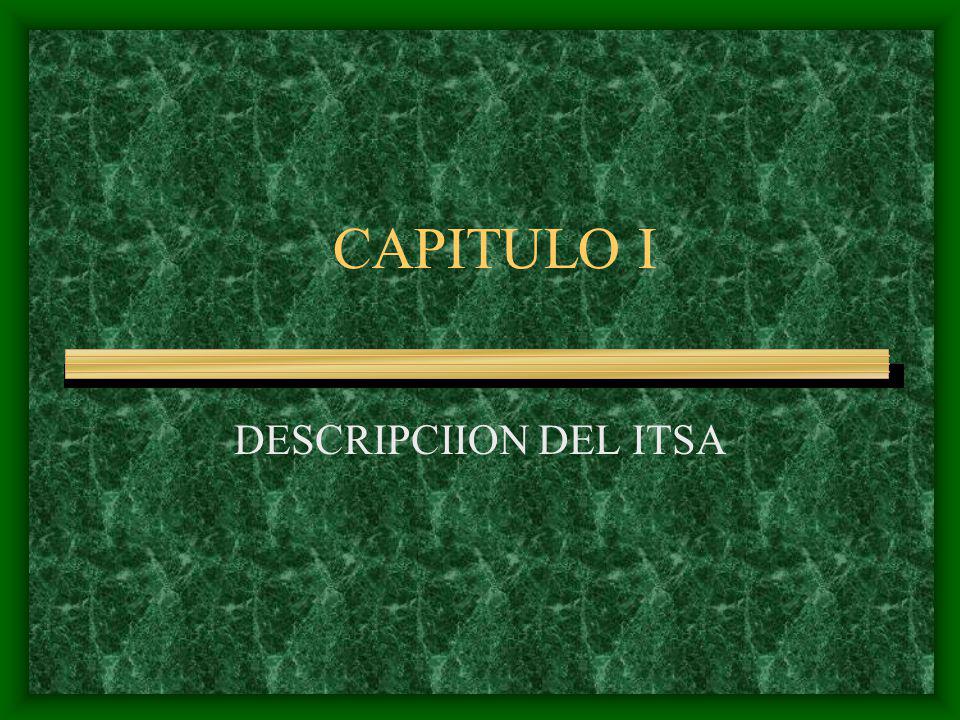 CAPITULO I DESCRIPCIION DEL ITSA