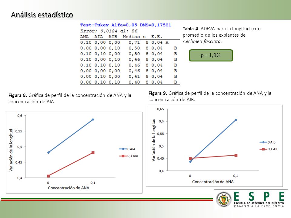 Análisis estadístico p = 1,9% Tabla 4. ADEVA para la longitud (cm)